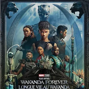 Marvel Studios Black Panther: Wakanda Forever 4K Ultra HD + Blu-ray + Digital Code