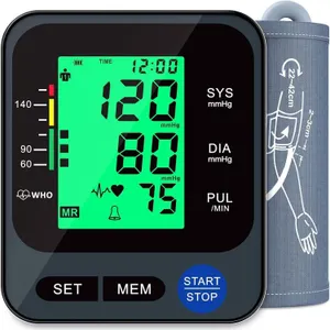 Arm-Type Electronic Blood Pressure Monitor Model BSX525