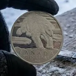 2014 Canada $50 Silver .999 Coin – Polar Bear