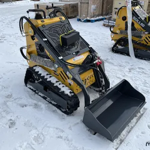 2025 Sdlanch SDLL60 Mini Skid Steer Loader
 UNRESERVED