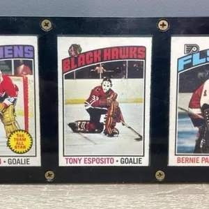1976 Golie Cards in Display - Dryden, Esposito &