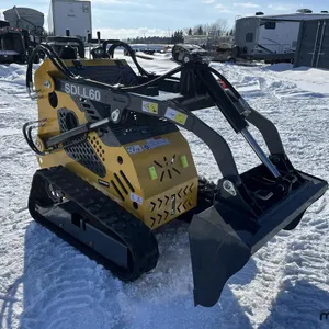 Chargeuse compacte Sdlanch SDLL60 2025
 UNRESERVED