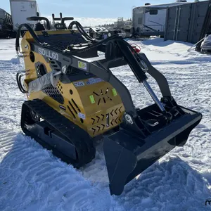 Chargeuse compacte Sdlanch SDLL60 2025
 UNRESERVED