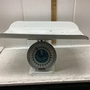 SANI BABE NURSERY SCALE