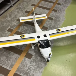 *ASSEMBLED* FOAM MODEL PLANE