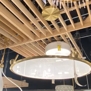 JOVIAN LED CHANDELIER. CHAMPAGNE GOLD. 30"D RETAIL $1900