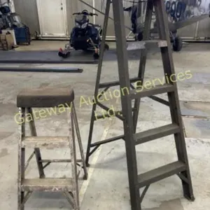 3 ft and five foot step ladders