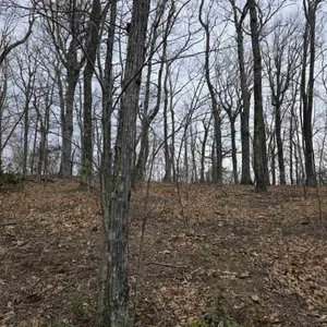 Building Lot for Sale in Meadows of Dan, VA