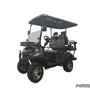 2026 SDLGC80 Golf Cart
 UNRESERVED