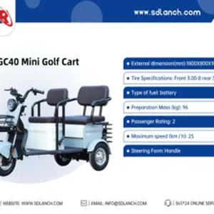 2026 IRGC40 High End Mini Golf Cart
 UNRESERVED