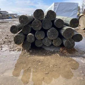 Approx. (20) 12' Posts