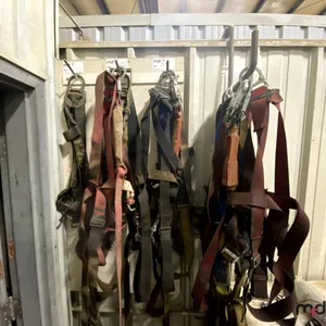 Various Harnesses
 UNRESERVED