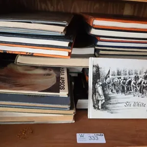 Shelf of Books