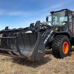 2022 Develon DL220-7 Wheel Loader