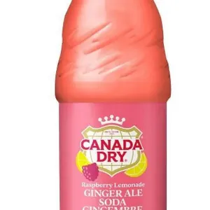 Canada Dry 24 x 500mL Bottles of Peach Flavor Sparkling Soda
