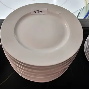 Lot of 20 White Dinner Plates for Food Service or Dining