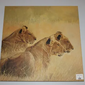 Print on Canvas, 20 x 20