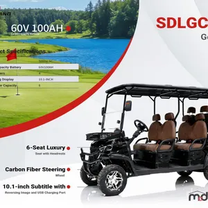SDLANCH SDLGC100 Limo Six Seater Electric Golf Cart
 UNRESERVED