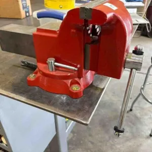WILTON VICE