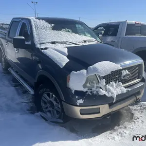 SALVAGE UNIT: 2004 Ford F150 Truck (Blue)
 UNRESERVED
