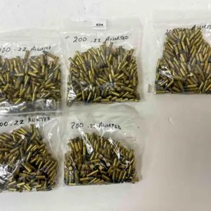 .22 LR ammo