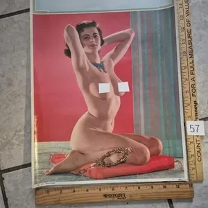 1960s Poster