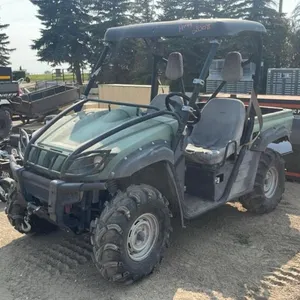 2008 Yamaha Rhino 700cc UTV/SXS, VIN: 5YAM16W98A300420, H194, Owner: Curtis D Gerow, Seller: Fraser Auction _____________________ **Keys and TOD in of