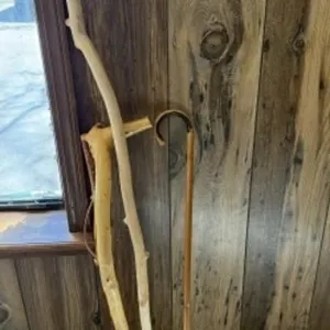 1 Cane, 3 Walking Sticks