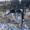 ATV Mount Calf Catcher