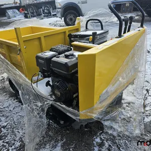 SDLANCH Dumper
 UNRESERVED
