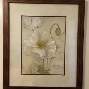X2 framed wall decor, pictures