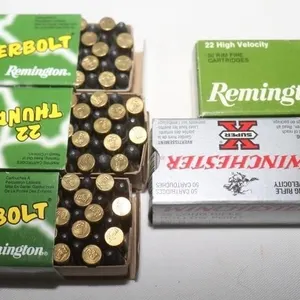 225 Rds. 22 LR: Remington & Winchester
