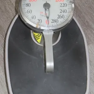 Taylor Professional Weight Scale; 19"x13"x7