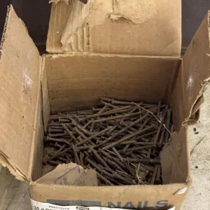 30d (4�) BRT Common Spikes, Partial Box,