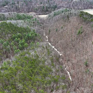 62.5± Acres Near Lake Moomaw   Covington, VA,