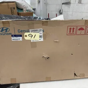 Hyundai Panel Assembly, Rear Door Module, Right