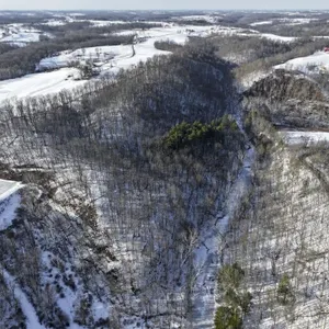 Tract 2 - 33� acres