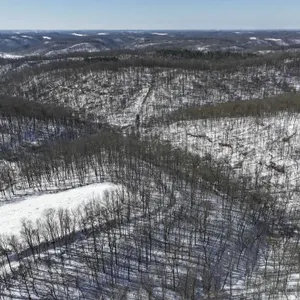 Tract 4 - 75�  Acres