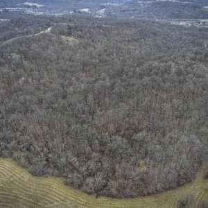 Tract 14 - 126�  Acres