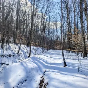 Tract 15 - 141� Acres