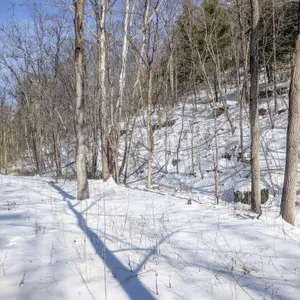 Tract 17 - 137� Acres