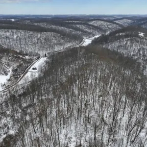 Tract 7 - 53� Acres