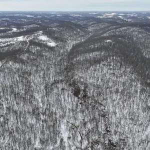 Tract 8 - 202� Acres