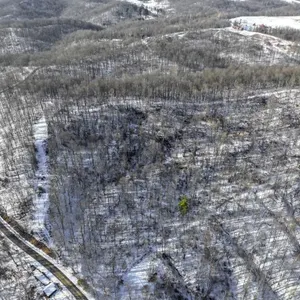 Tract 9 - 45� Acres