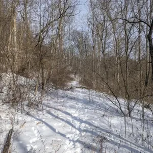 Tract 11 - 75� Acres
