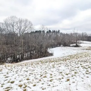 Tract 12 - 246� Acres