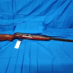 Remington 550-1 .22 LR semi-auto