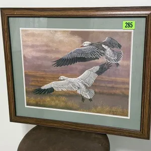 Geese & Swans artwork