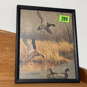 Duck artwork 
framed print