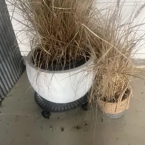 Woven baskets, plastic planter with roller
